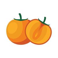 Persimmon Flat design clip art vector illustration isolated on a white background