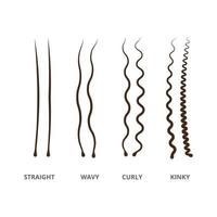 Hair types set. Congenital and acquired varieties of wavy and curly human and animal hair vector