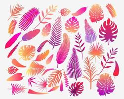 Set of vector illustration of tropical fern leaves in color. Exotic art design. Natural decorative element isolated. Beautiful graphic art. Retro decorative background for textile print and decor.