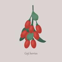 goji rojo o bayas saludables de wolfberry en una rama. goji con hojas alimentos dietéticos saludables sobre un fondo gris. vector