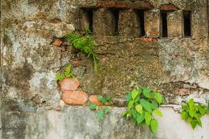 Old and decayed brick wall photo