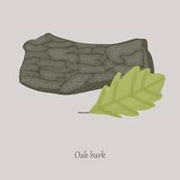 Brown oak bark on a gray background. vector