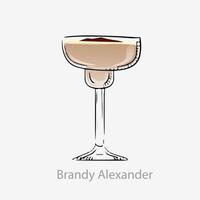 Brandy cocktail Alexander. Milkshake cocktail alcoholic brown white digestif based on cognac chocolate liquor cream served without ice vector glass sauer category unforgettable.