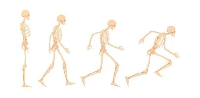 Stages of readiness for running human skeleton. Dead character prepares and takes run stance anatomically illustrated vector athlete.