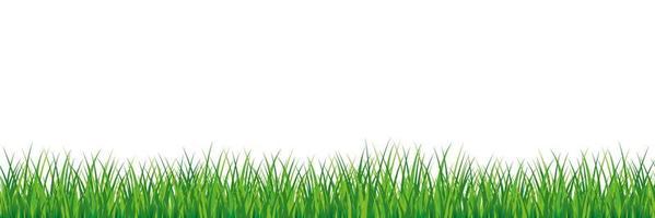 Seamless spring grass. Natural green saturated grass horizontal lawn lush ecological natural young vector foliage open green shoots beautiful clipart herbal seamless pattern.