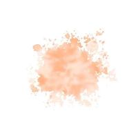 Peach watercolor splash on white background. Vector brown watercolour texture