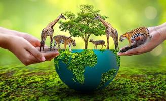World Animal Day World Wildlife Day  Groups of wild beasts were gathered in the hands of people photo
