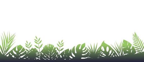 Green fern background in fog. Horizontal decoration of rainforests after rain floral botanical background with elegant blurred fern leaves wild natural lawn in saturated vector. vector