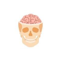 cráneo humano con cerebro. estructura anatómica de sinapsis y tejido óseo estudio del pensamiento y proceso creativo y tratamiento de enfermedades vectoriales. vector