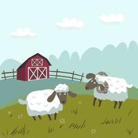 White sheep with black muzzles graze in a meadow. Red farm in the background. Vector flat illustration.