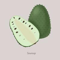 Soursop Whole and slice isolated on gray background. vector