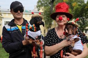 san petersburgo, rusia, 2021 - 9º desfile anual de perros salchicha en san petersburgo, rusia. el tema de este año es el circo. foto