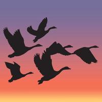 Silhouettes of flying migratory birds group vector