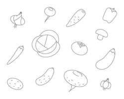 iconos de línea de verduras. establecer icono vectorial de repollo vegetal, zanahorias, pepino, ajo, cebollas, pimientos vector