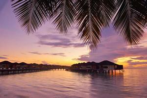 Tropical beach sunset photo