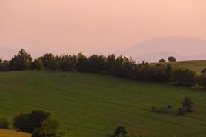 landscape nature summer photo