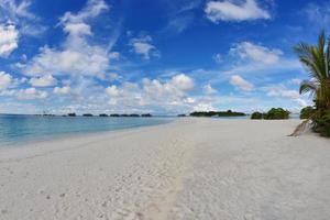 tropical beach view photo