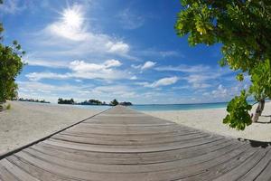 Tropical beach view photo