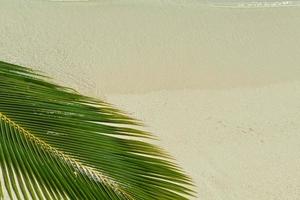 tropical beach landscape photo