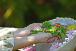 female hand and flower in water photo