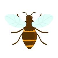 Vector engraving illustration of honey bee on white background hand drawing flat