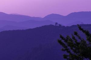 ultra violet purple summer landscape photo