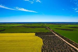 Canola and Wheat crops on the Eyre Peninsula, South Australia photo