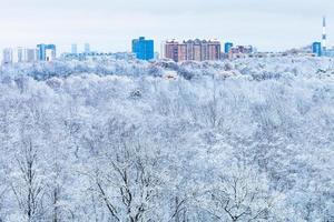 ciudad y bosque nevado en la mañana azul de invierno foto