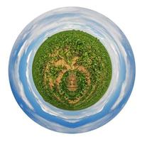 spherical view of country corn field photo