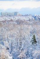 snow urban park and city in winter photo