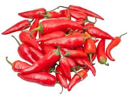 pods of fresh red chili peppers isolated photo