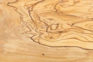 natural pattern of olive tree board photo