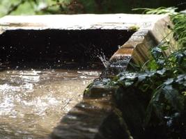 Outdoor pond view photo