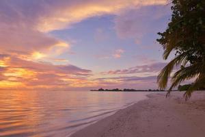 puesta de sol playa tropical foto