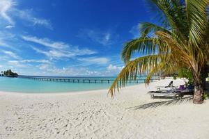 Tropical beach view photo