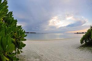 Tropical beach view photo