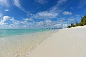 tropical beach landscape photo