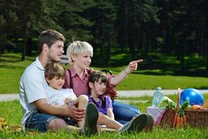 Happy family playing together in a picnic outdoors photo