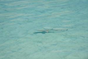 Tropical beach view photo