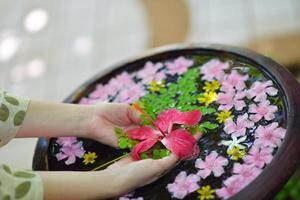 female hand and flower in water photo