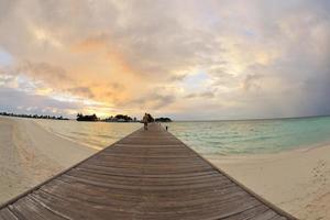 tropical beach landscape photo