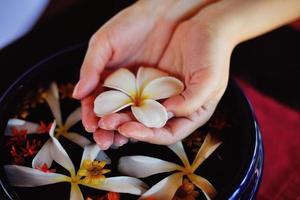 female hand and flower in water photo