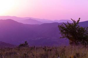 paisaje de verano violeta ultravioleta foto