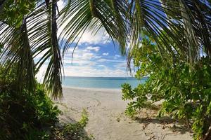 tropical beach landscape photo