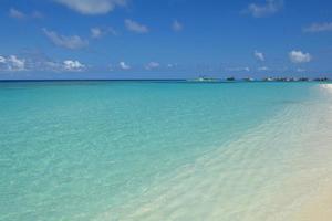 tropical beach landscape photo