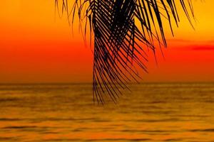 silueta de palmeras hermosa puesta de sol en el fondo de la playa del mar tropical para viajar en tiempo de relajación de vacaciones, foto