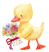 yellow duckling with a bouquet of flowers, cartoon watercolor illustration. png