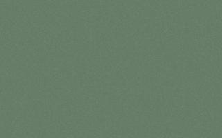 Dark green background with paper texture. Vector illustration