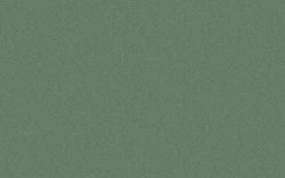 Dark green background with paper texture. Vector illustration