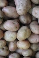 fruit potatoes close up wallpaper photo